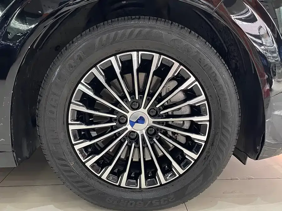 BYD D9 DENZA D9 2024 DM-i 980 4WD Premium Edition 2024 — миниатюра 2