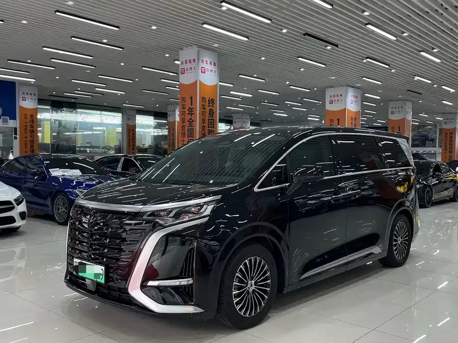 BYD D9 2024