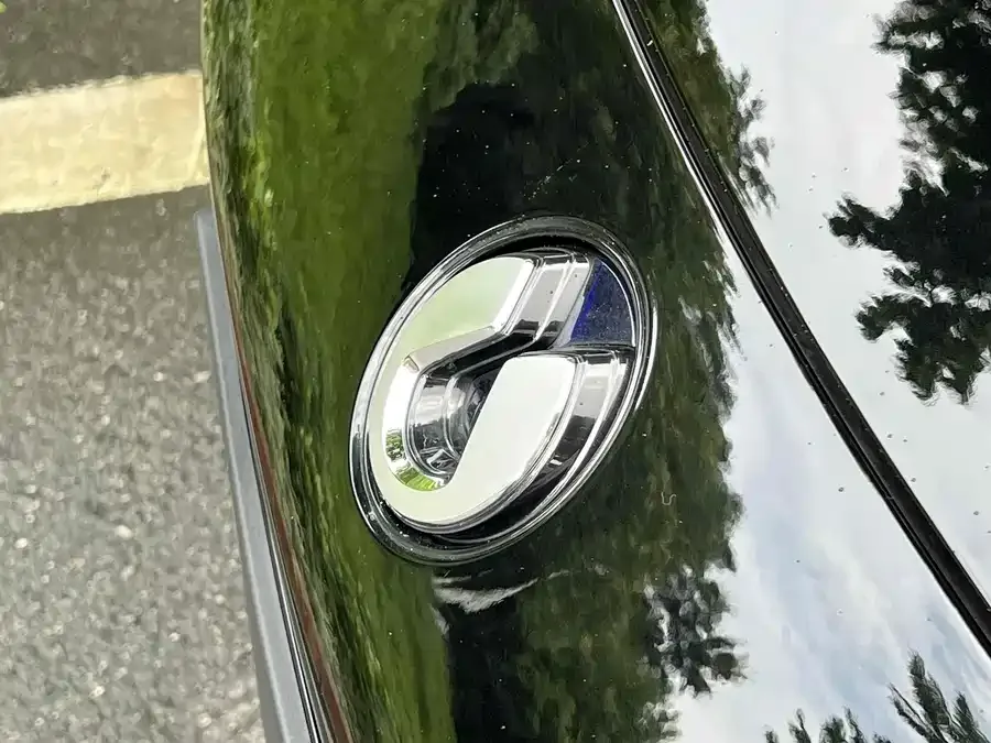 BYD Z9 BYD Z9 2024 1100km 4WD Pro Edition 2024 — миниатюра 2