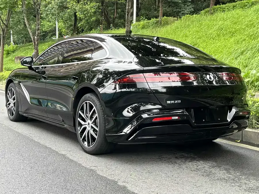 BYD Z9 BYD Z9 2024 1100km 4WD Pro Edition 2024 — миниатюра 3