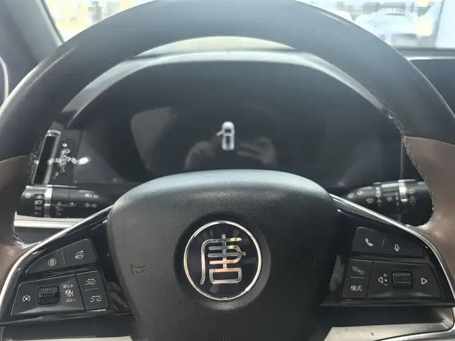 BYD Tang New Energy Tang New Energy 2023 DM-i Champion Edition 112KM Honor Edition 2023 — миниатюра 4