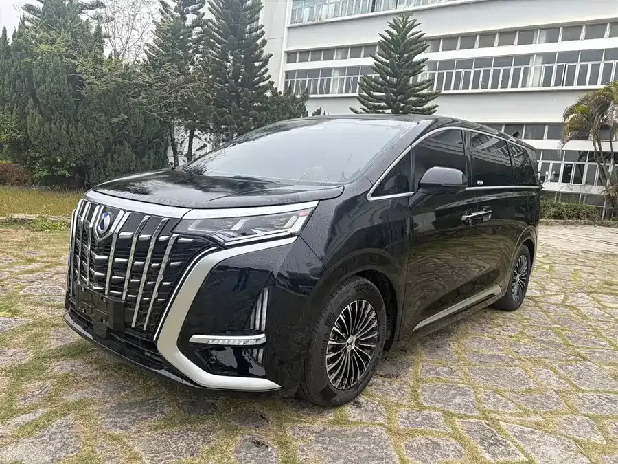 BYD D9 2023