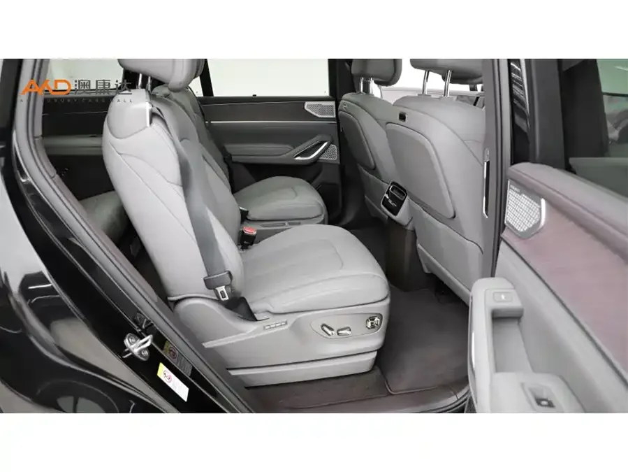 BYD N9 Denza N9 2025 Premium Edition 2025 — миниатюра 5