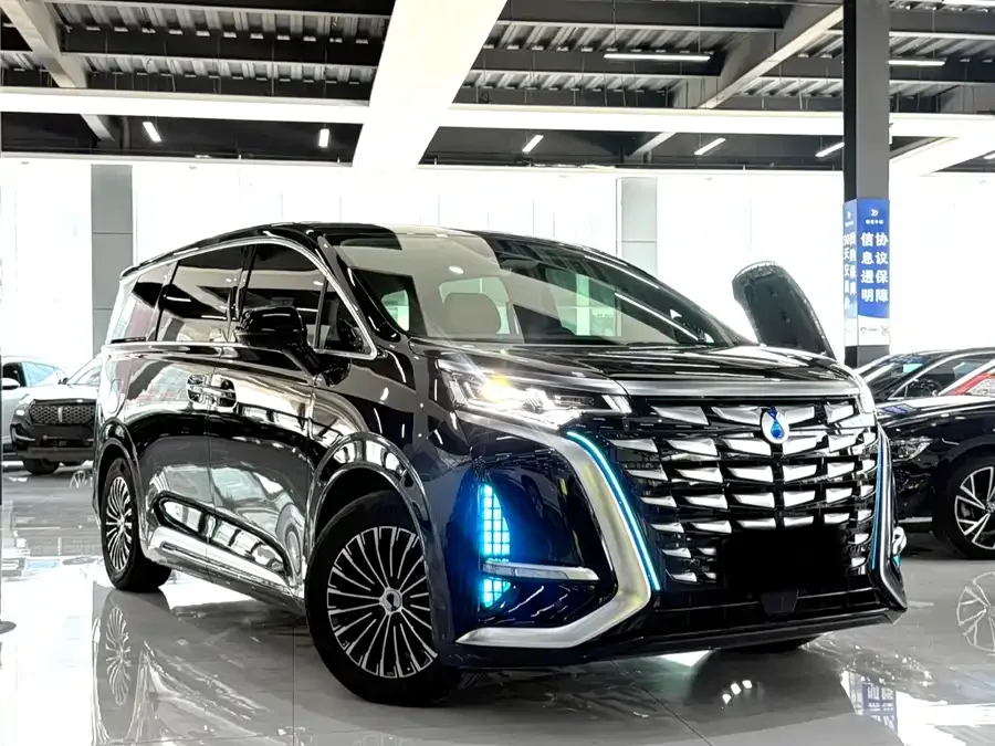 BYD D9 DENZA D9 2024 DM-i 1050 Premium Edition 2024 — миниатюра 2