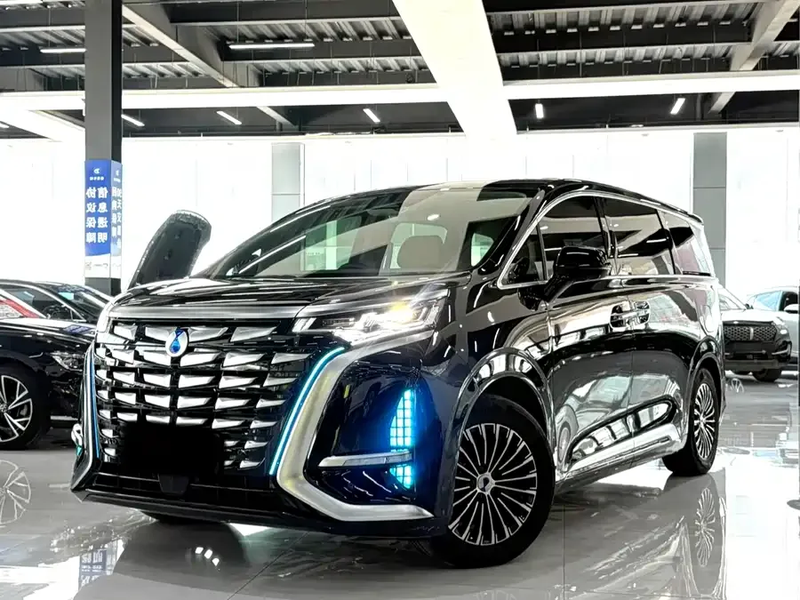 BYD D9 2024