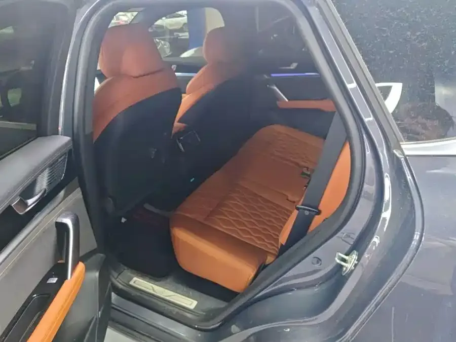 BYD Tang New Energy Tang New Energy 2023 DM-i Champion Edition 112KM Honor Edition 2024 — миниатюра 5