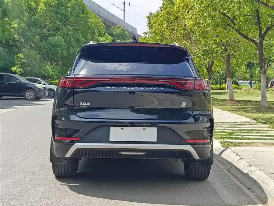 BYD Tang New Energy Tang New Energy 2024 DM-i Honor Edition 112KM Premium Edition 2024 — миниатюра 2