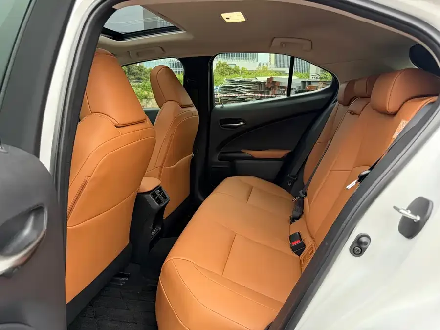 Lexus UX New Energy Lexus UX PHEV 2020 300e Pure Edition 2023 — миниатюра 2