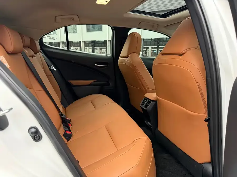 Lexus UX New Energy Lexus UX PHEV 2020 300e Pure Edition 2023 — миниатюра 3