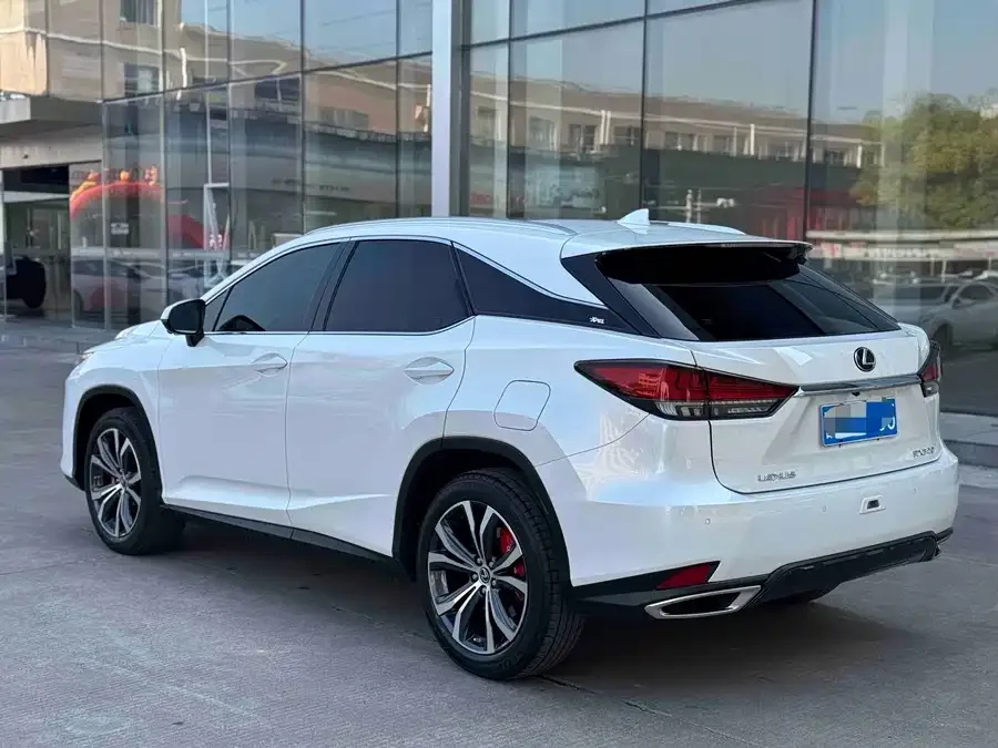 Lexus RX 2021 300 four-wheel drive special edition 2022 — миниатюра 3