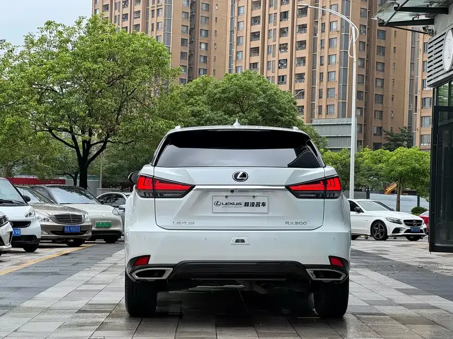 Lexus RX 2021 300 four-wheel drive special edition 2022 — миниатюра 2