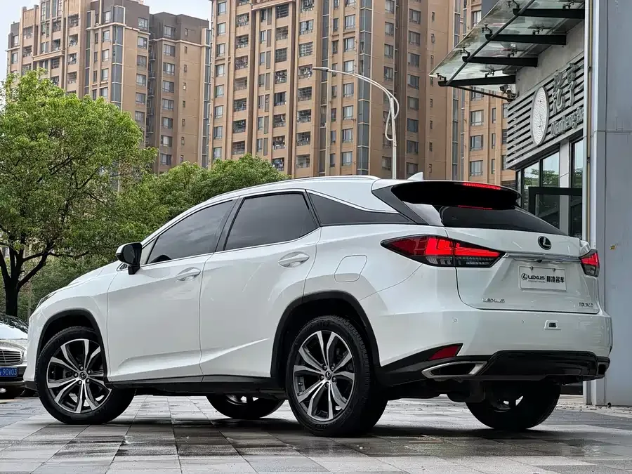 Lexus RX 2021 300 four-wheel drive special edition 2022 — миниатюра 4