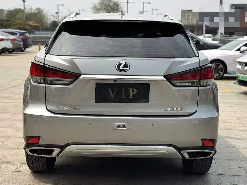 Lexus RX 2021 300 four-wheel drive special edition 2022 — миниатюра 4