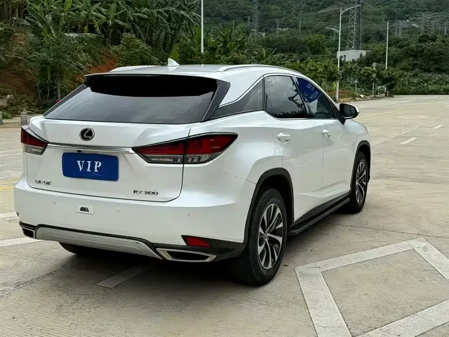 Lexus RX 2020 300 two-wheel drive elite version China VI 2022 — миниатюра 3