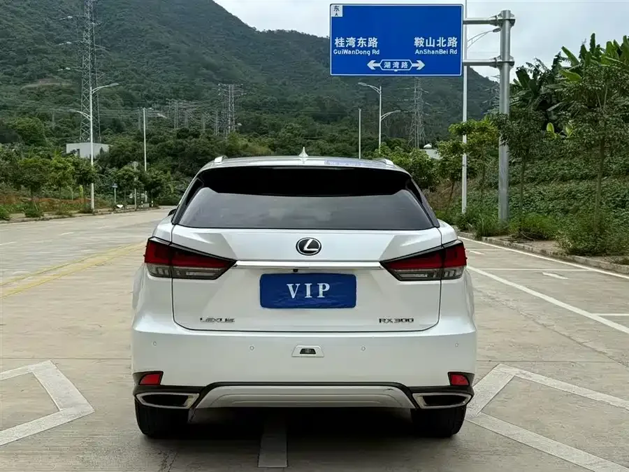 Lexus RX 2020 300 two-wheel drive elite version China VI 2022 — миниатюра 5