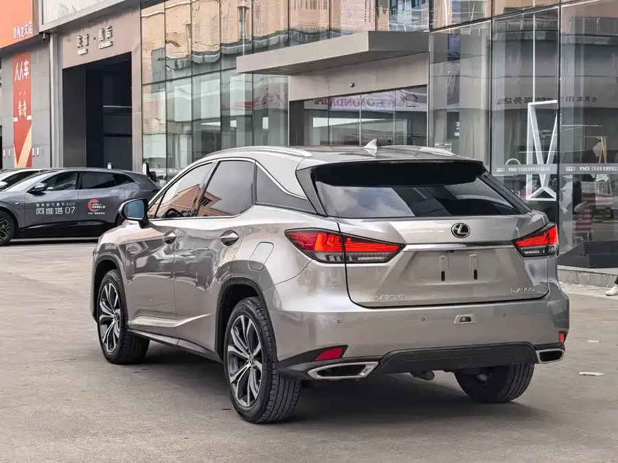 Lexus RX 2021 300 four-wheel drive special edition 2022 — миниатюра 3