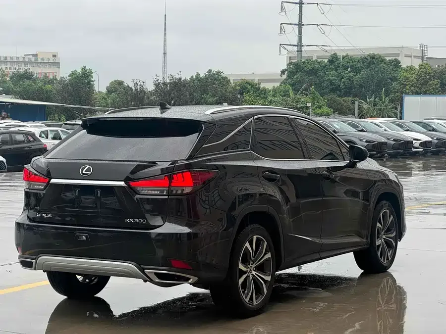 Lexus RX 2020 facelift 300 four-wheel drive elegant version 2022 — миниатюра 5