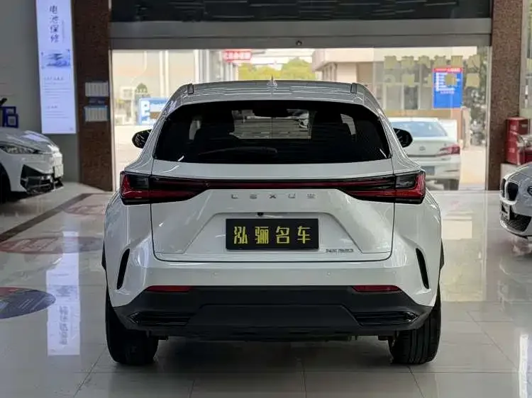 Lexus NX 2022 260 front-wheel drive Chuangchi version 2022 — миниатюра 2