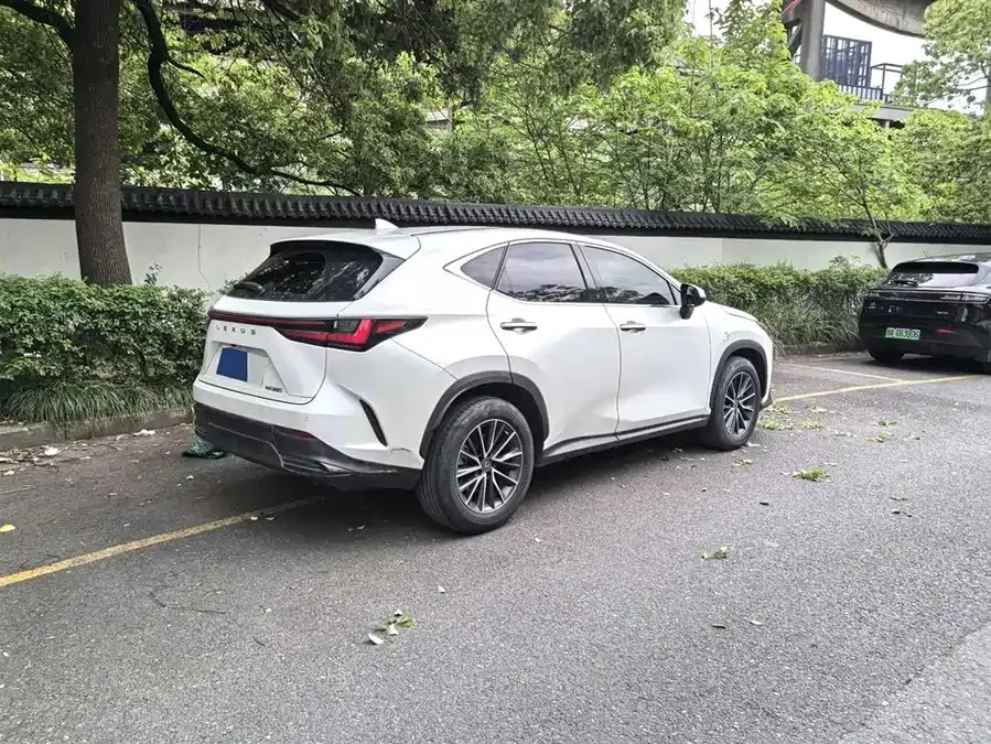 Lexus NX 2022 260 front-wheel drive Chuangchi version 2022 — миниатюра 3