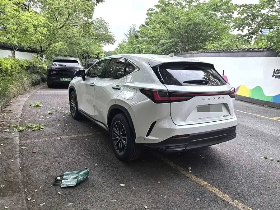 Lexus NX 2022 260 front-wheel drive Chuangchi version 2022 — миниатюра 4