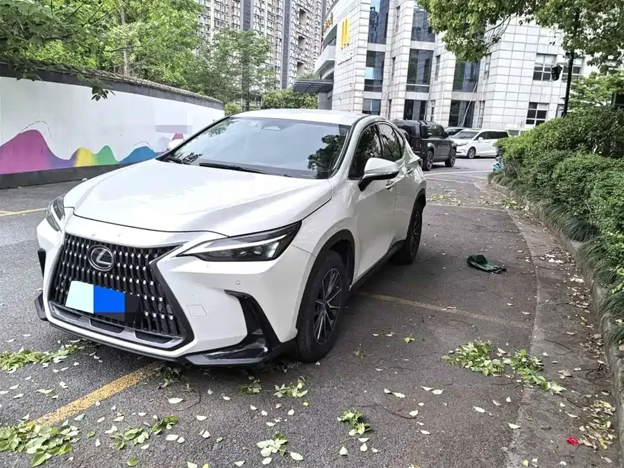 Lexus NX 2022