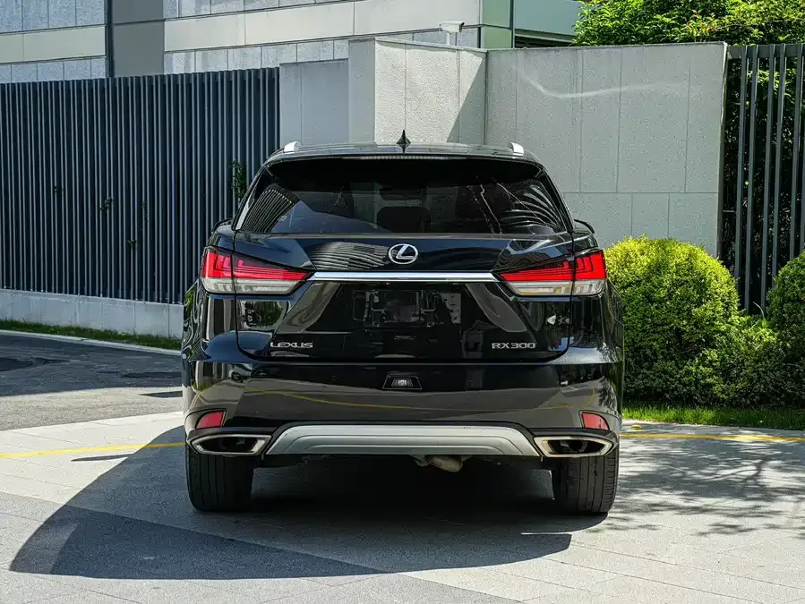 Lexus RX 2020 300 four-wheel drive elegant version country VI 2022 — миниатюра 2