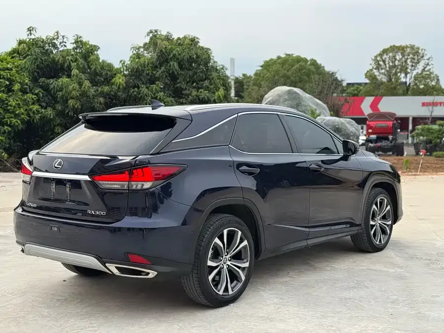 Lexus RX 2020 facelift 300 four-wheel drive elegant version 2022 — миниатюра 3
