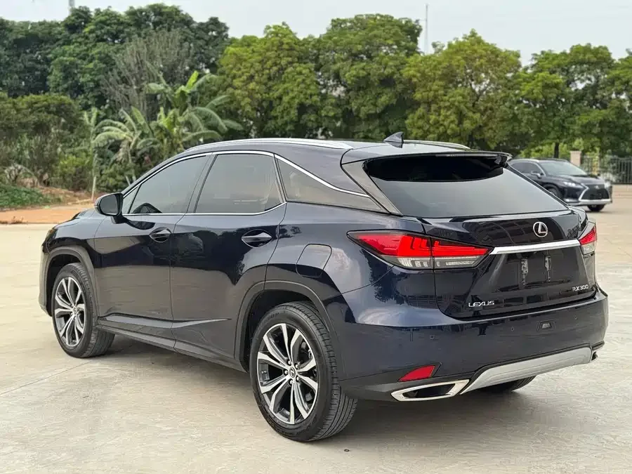 Lexus RX 2020 facelift 300 four-wheel drive elegant version 2022 — миниатюра 5