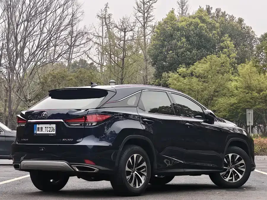 Lexus RX 2020 300 two-wheel drive elite version China VI 2022 — миниатюра 2