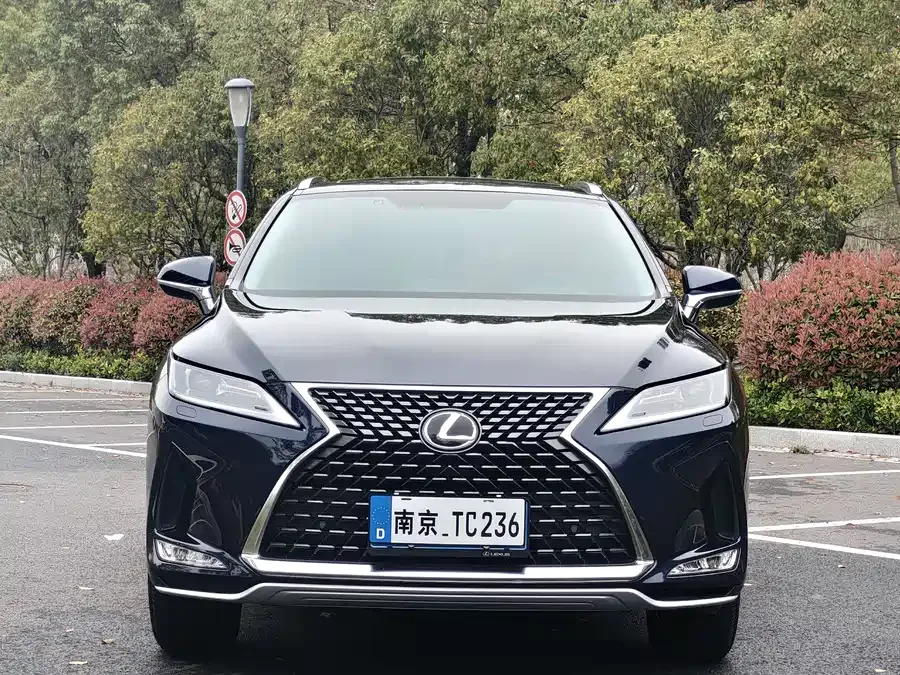 Lexus RX 2020 300 two-wheel drive elite version China VI 2022 — миниатюра 3