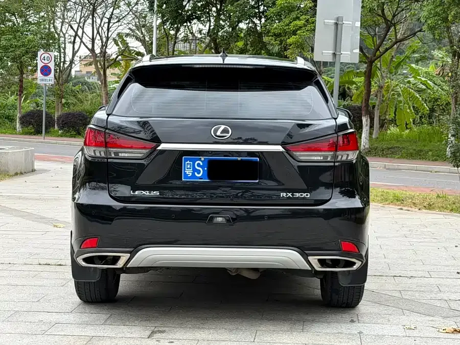 Lexus RX 2020 facelift 300 two-wheel drive comfort version 2022 — миниатюра 3