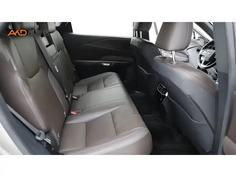 Lexus RX 2023 350h 4WD Pure Edition 2023 — миниатюра 5