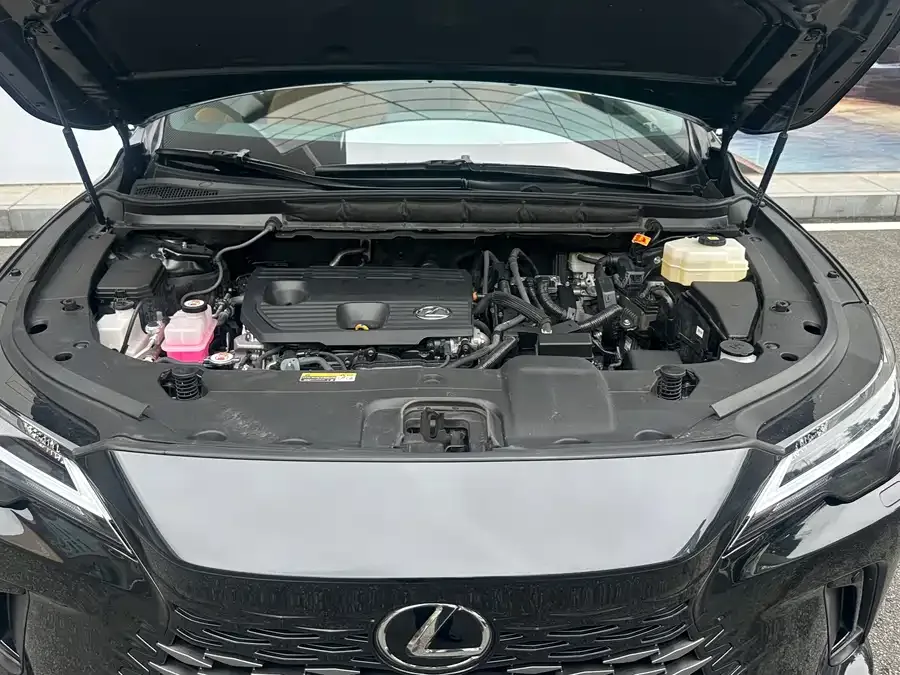 Lexus RX 2023 350h 2WD Enjoy Edition 2023 — миниатюра 4
