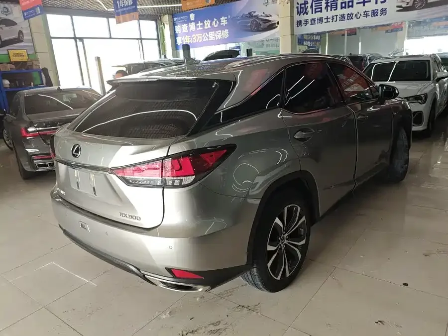 Lexus RX 2021 300 four-wheel drive special edition 2022 — миниатюра 2