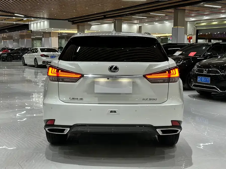 Lexus RX 2021 300 four-wheel drive special edition 2022 — миниатюра 2