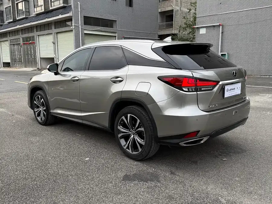 Lexus RX 2021 300 four-wheel drive special edition 2022 — миниатюра 3