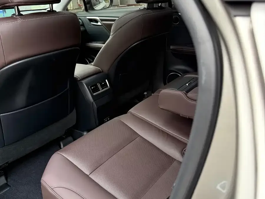 Lexus RX 2021 300 four-wheel drive special edition 2022 — миниатюра 5