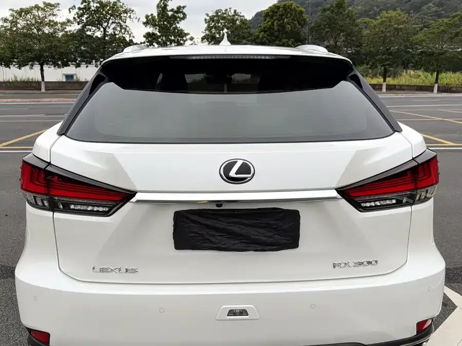 Lexus RX 2020 facelift 300 two-wheel drive comfort version 2022 — миниатюра 5