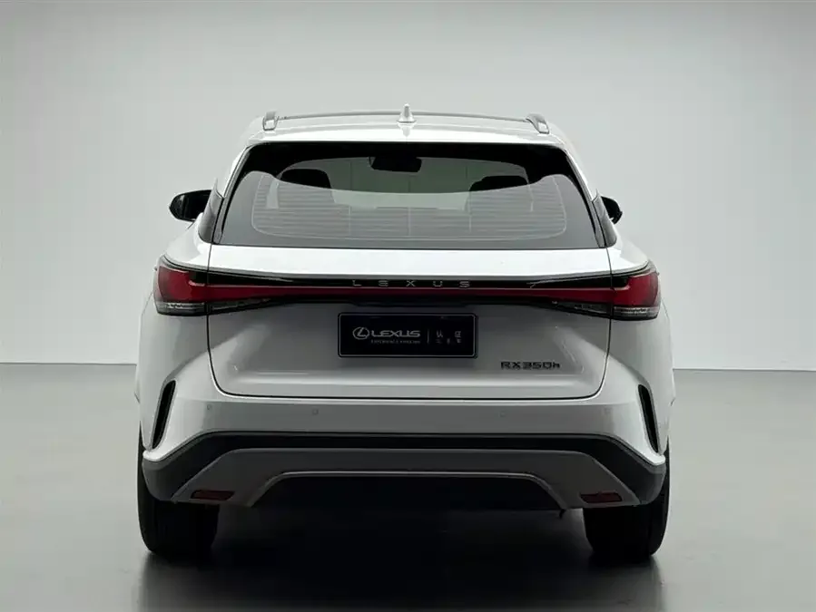 Lexus RX 2023 350h 2WD Comfort Edition 2024 — миниатюра 5