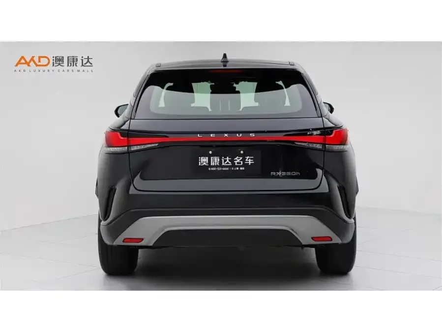 Lexus RX 2023 350h 2WD Enjoy Edition 2024 — миниатюра 4