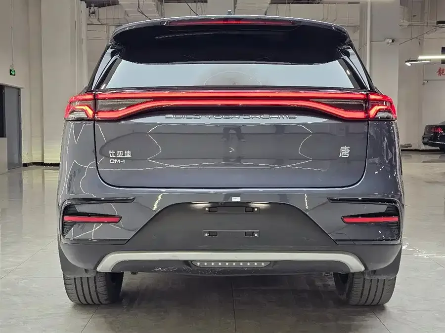 BYD Tang New Energy Tang New Energy 2023 DM-i Champion Edition 112KM Premium Edition 2024 — миниатюра 5