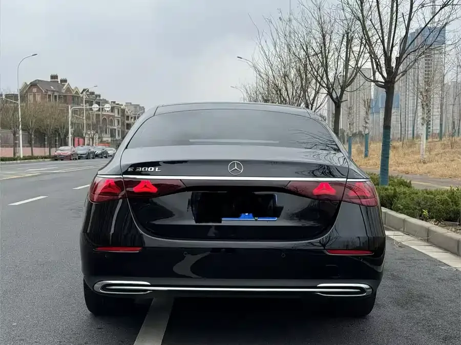 Mercedes-Benz E-Class Mercedes-Benz E-Class 2024 E 300 L Luxury Edition 2024 — миниатюра 2