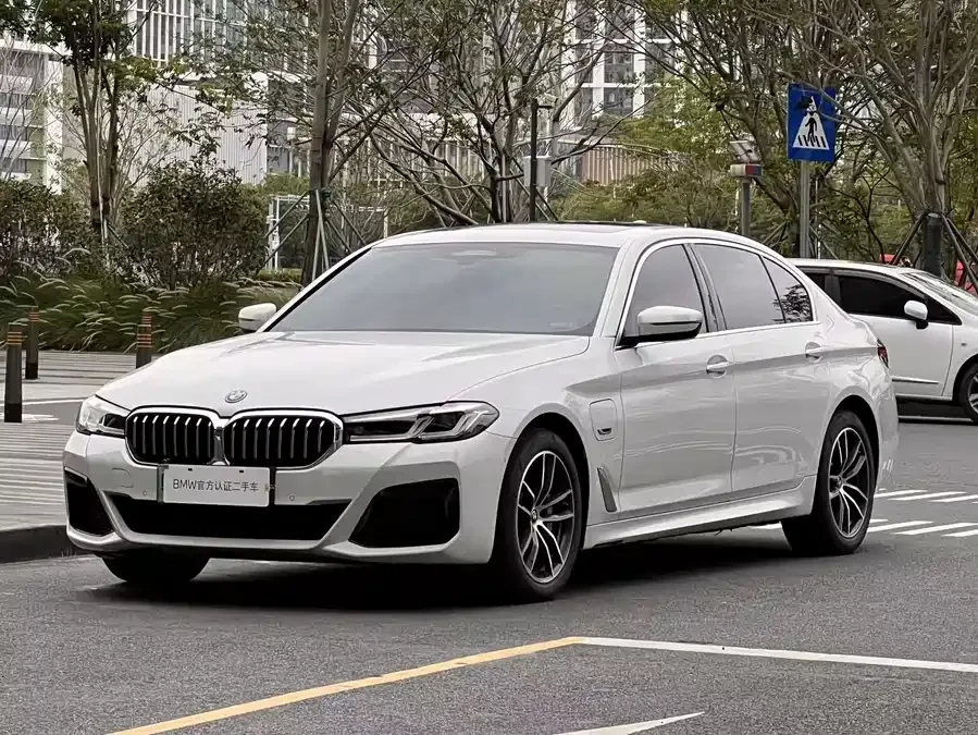 BMW 5 Series New Energy 2022