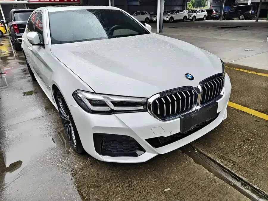 BMW 5 Series BMW 5 Series 2023 530Li Leading M Sport Package 2023 — фото 1, купить с доставкой в Москву