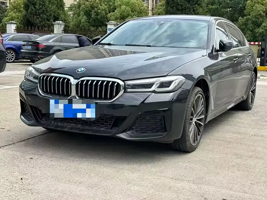 BMW 5 Series BMW 5 Series 2022 530Li Leading M Sport Package 2022 — фото 1, купить с доставкой в Москву