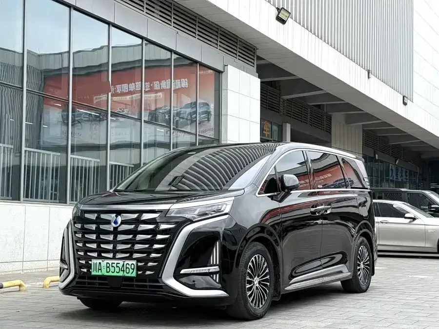 BYD D9 2024