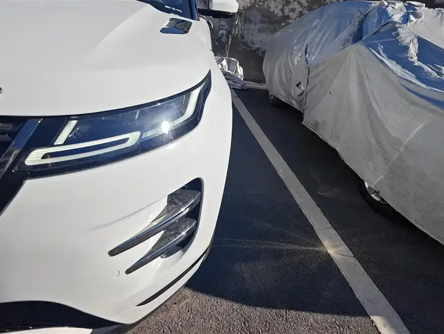 Land Rover Range Rover Aurora Range Rover Aurora 2023 Aurora L 249PS Luxury Edition 2023 — миниатюра 2