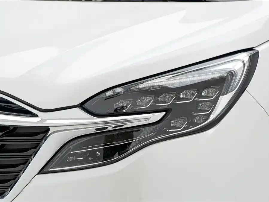 Buick GL8 2022 ES Lu Zun 653T Luxury Edition 2022 — миниатюра 3
