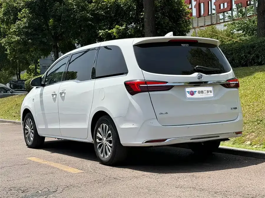 Buick GL8 2023 Land Business Class Premium Edition 2023 — миниатюра 4