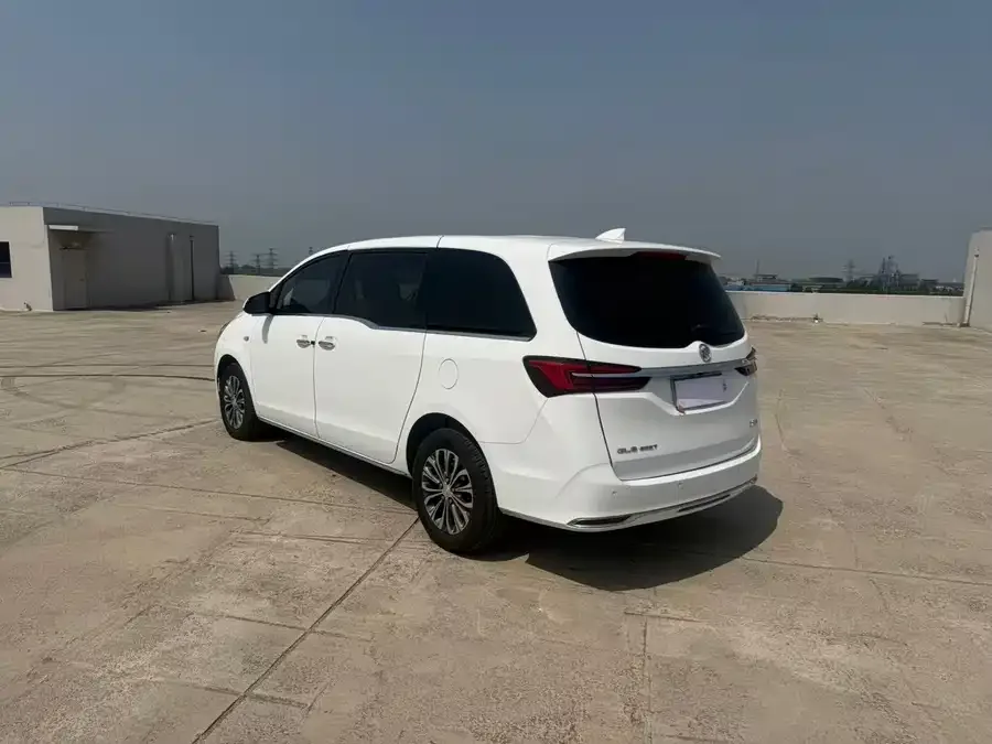 Buick GL8 2022 Land Business Class 652T Luxury Edition 2022 — миниатюра 3